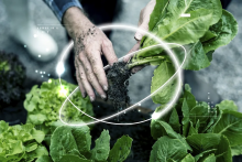 Стартапи FoodTech - максимальна привабливість для інвесторів агросектору