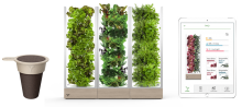 Verdical - автоматизована система для вирощування зелені вдома