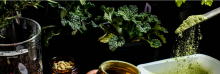 Brightseed - біологічні інгрідієнти для здорового харчування і харчових добавок