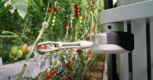 Root AI - робот для збирання плодів овочів та фруктів у теплицях