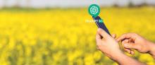 Як ChatGPT може допомогти українським фермерам автоматизувати свої рутинні процеси