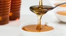 Mellody випускає перший у світі мед без бджіл на рослинній основі