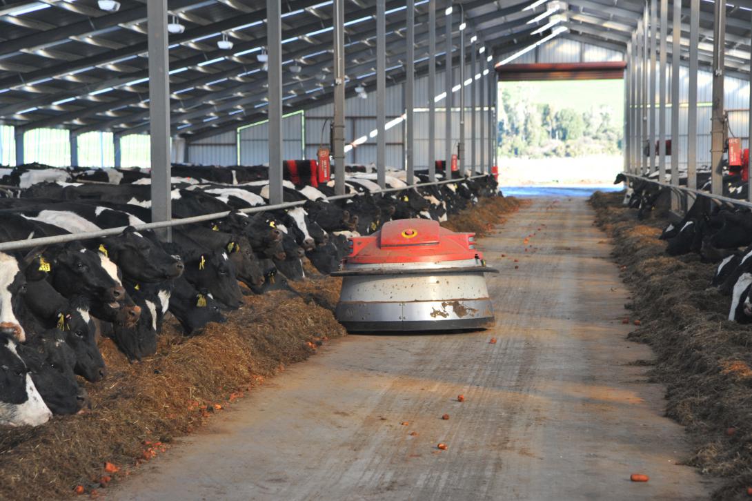 Cainthus - iдеї щодо харчування та благополуччя тварин для вашої молочної ферми