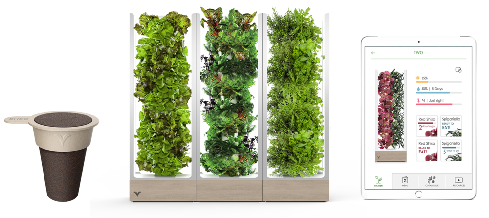 Verdical - автоматизована система для вирощування зелені вдома